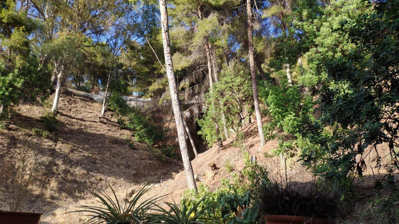 Fabulosa Casa Del Arbol مالقة المظهر الخارجي الصورة